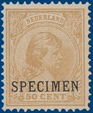 Kavel 3117