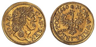 Kavel 1110