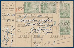 Lot 2530