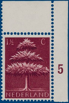 Kavel 3162