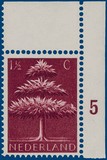 Lot 3162