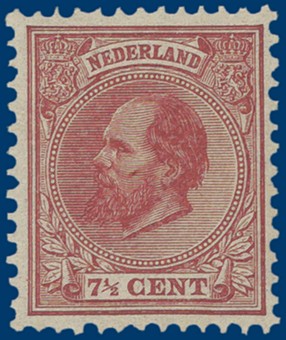 Kavel 2548
