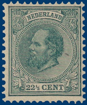 Kavel 2557