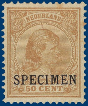 Lot 2574