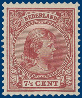 Kavel 2575