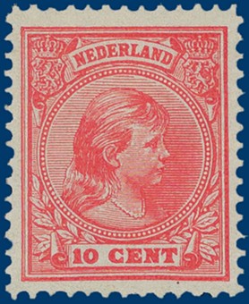 Kavel 2576