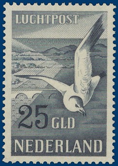 Kavel 2801