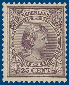 Kavel 2565
