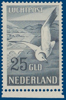 Kavel 2790