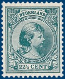 Kavel 2553