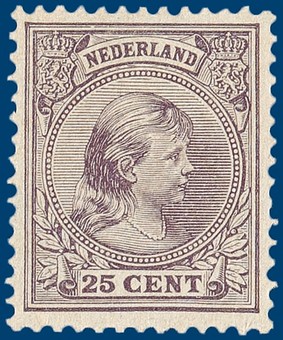 Kavel 2555