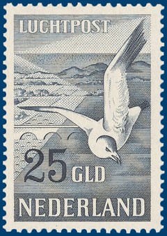 Kavel 2762