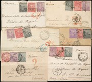 Lot 55
