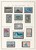 Kavel 1007 (3)