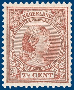 Lot 2545
