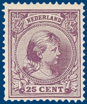 Kavel 2554