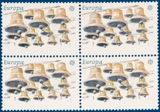 Kavel 2712