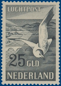 Kavel 3261