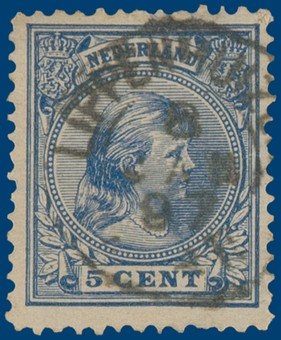 Kavel 2317