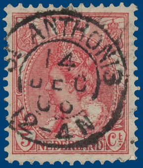 Kavel 2437