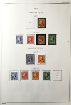 Lot 3504