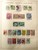 Lot 1041 (5)