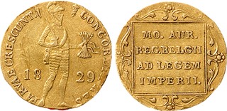 Lot 954