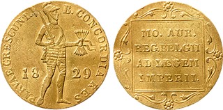 Lot 955
