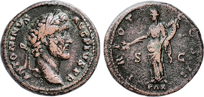 Kavel 145