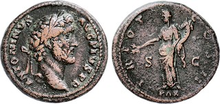Lot 145