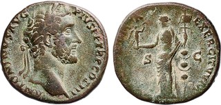 Kavel 142