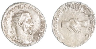 Lot 807