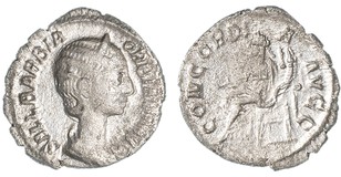 Lot 803