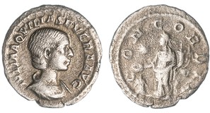 Lot 799