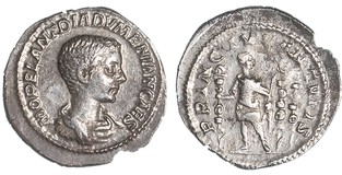 Lot 795