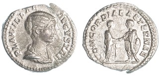 Lot 791