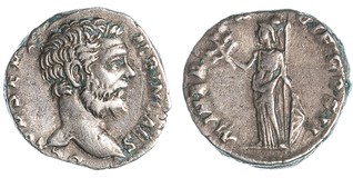 Lot 786