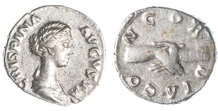 Lot 784