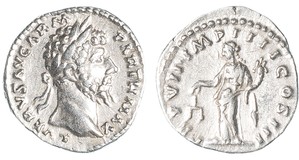Lot 779