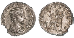 Lot 775
