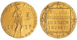 Lot 501