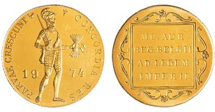 Lot 527