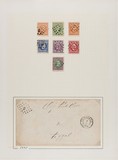 Lot 5562