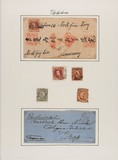 Lot 5566