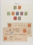 Lot 5571