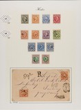 Lot 5585