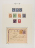 Lot 5596