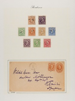 Lot 5599