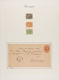 Lot 5619