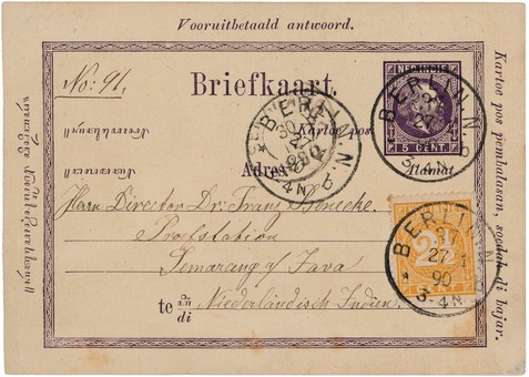 Lot 5462